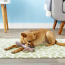 Kong Pet Stix Dog Toss & Chew Toy: 3 Sizes