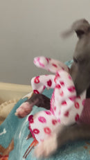 Blaster Baby Lightly-Stuffed Dog Toy with Big SQUEAKER / Beanie Babies with No Beans!