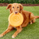 60% OFF WITH CODE! West Paw Zogoflex Zisc Flying Disc Dog Toy: Large - Glad Dogs Nation | ALL Profits Donated