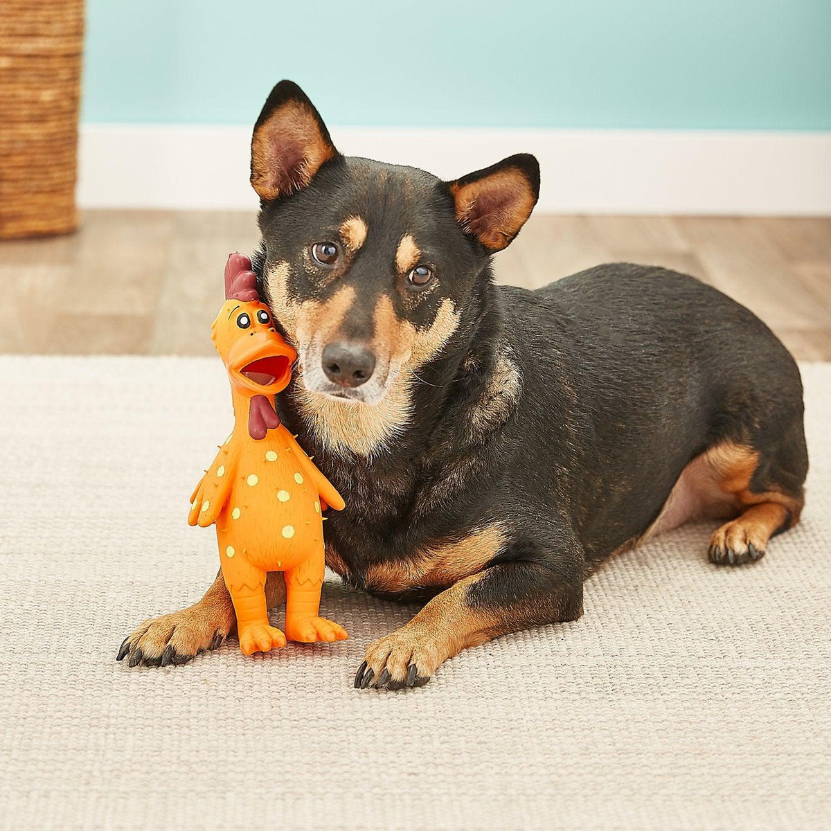 Multipet Latex Chicken Globken Dog Toy 2 Sizes