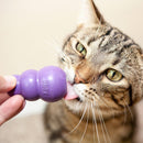 Kitty Kong for Treats & Play CHEAPER THAN CHEWY!