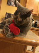 Catnip Critters Organic Catnip Cat Toys / MORE Catnip!