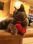 Catnip Critters Organic Catnip Cat Toys / MORE Catnip!