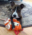 Flat 'n Tuff No Stuffing, No Squeaker Dog Toys: All Sizes