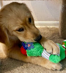 Team Spirit Stuffed SQUEAKY Dog Toys: Sport Mascots & Players of All Sizes