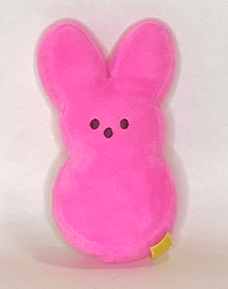 TINY Easter & Spring Plush Squeaky Dog Toy or Cat Toy