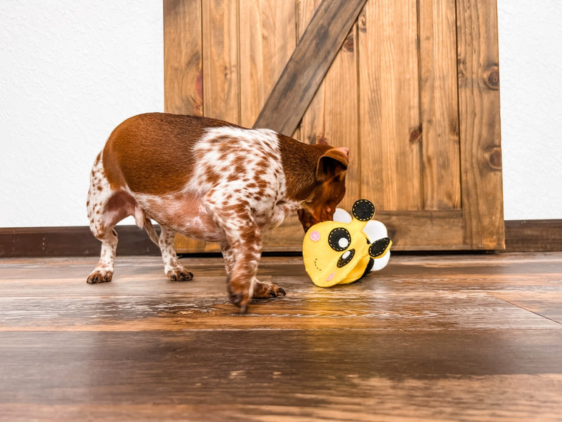 DIY Snuffle Mat: An Interactive Dog Toy That Busts Doggy Boredom
