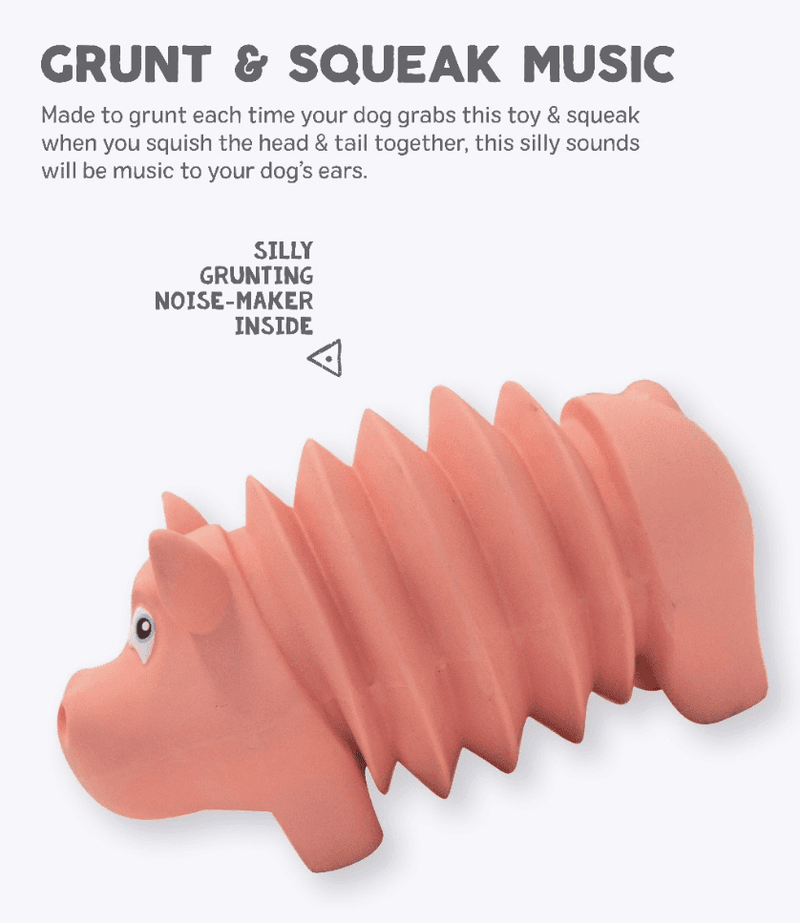 Squeaky pig shop dog toy noise