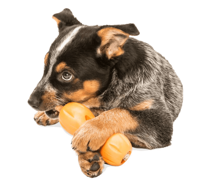 West Paw QWIZL® Tough Treat Toy - Glad Dogs Nation | ALL profits donated