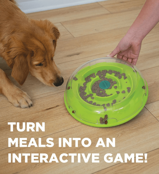 Wobble Slow Feeder Bowl Dog Game by Outward Hound