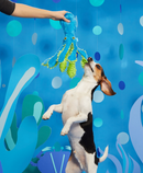 BARK Shifty Sid the Squid Squeak & Crinkle Dog Toy