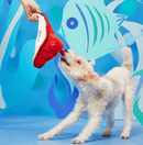 BARK Sting Crosby the Ray Squeak, Crinkle & Rope Dog Toy