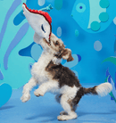 BARK Sting Crosby the Ray Squeak, Crinkle & Rope Dog Toy