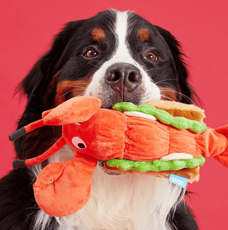 BARK Max's Marine Lobster Roll Squeaky & Crinkly Dog Toy