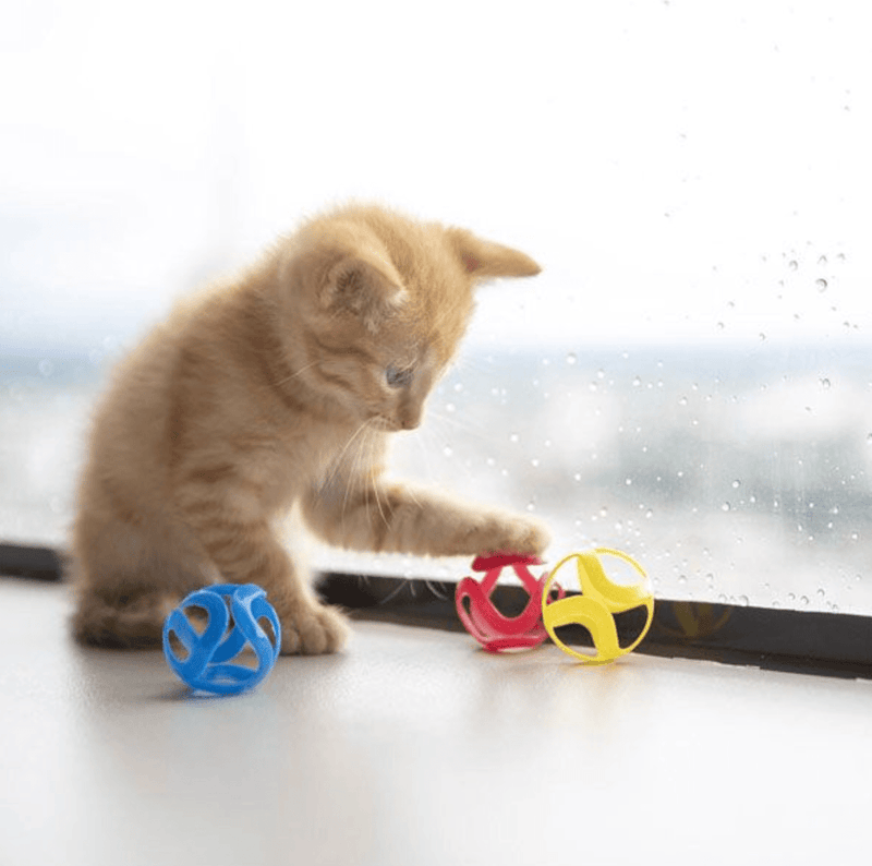 JW Pets Cat Crazies Cat & Kitten Toys: 3 Pack