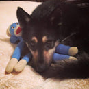 Medium NO SQUEAK Stuffed Dog & Puppy Toys / 20-50 lb. Dogs