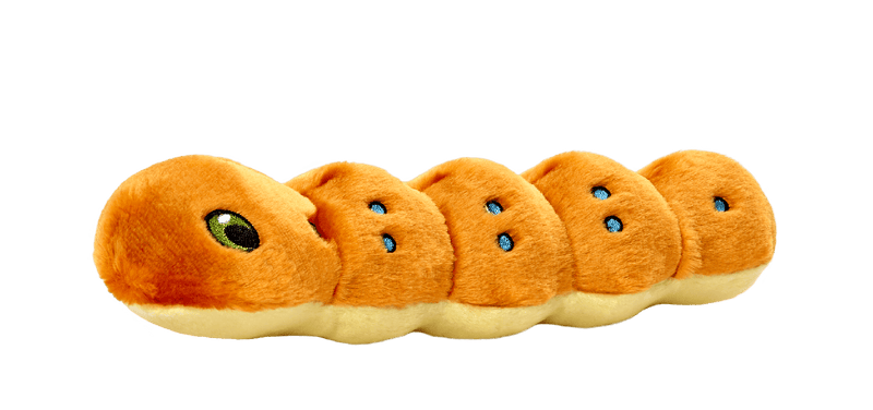 Fluff & Tuff Spicy Caterpillar 11" Durable Plush - Glad Dogs Nation | ALL profits donated
