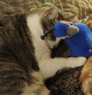 Kitty Bat Abouts Cat Toys with Rattles