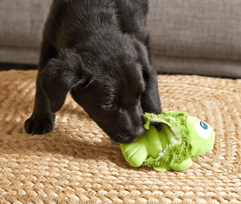 BARK Drop the Bass Super Chewer Hardcore Tough Dog Toy - Glad Dogs Nation | ALL Profits Donated