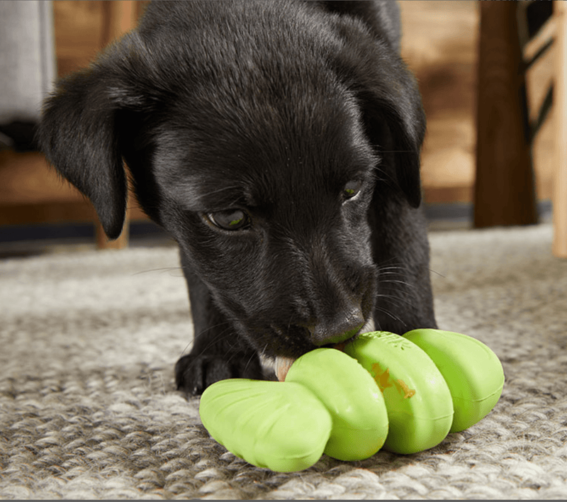 BARK Drop the Bass Super Chewer Hardcore Tough Dog Toy - Glad Dogs Nation | ALL Profits Donated