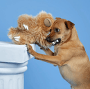 BARK Gordon the Giant Sloth Squeaky Dog Toy BEST SELLER - Glad Dogs Nation | ALL Profits Donated