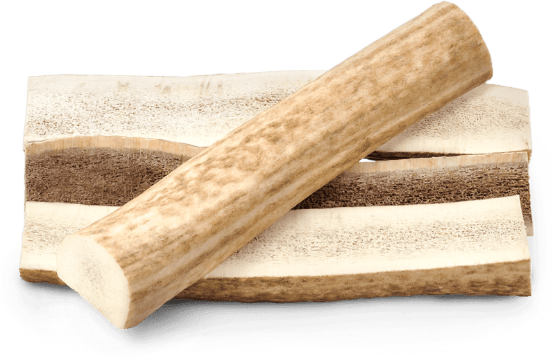 Barkworthies Elk Antlers Dog Treat: Split & Whole, S - XL - Glad Dogs Nation | ALL Profits Donated