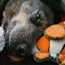 Finding Nemo & Dory Dog Toys Squeaky & NO Squeak All Sizes - Glad Dogs Nation | ALL Profits Donated