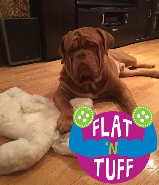 XXLarge FLAT 'N TUFF Dog Toy with NO STUFFING - Glad Dogs Nation | ALL profits donated