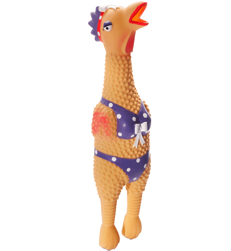 Charming Pet Squawkers Squeaky Latex Dog Toy - Glad Dogs Nation | www.GladDogsNation.com