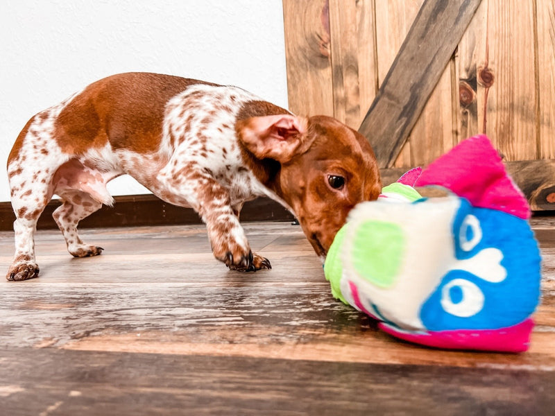 Hound Hugger DIY Glad Dog Snuffle Pattern Kit - Glad Dogs Nation | ALL Profits Donated