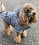 JUST $5! Bailey & Bella Grey Parka with Faux Fur Trim: Small - Glad Dogs Nation | ALL Profits Donated