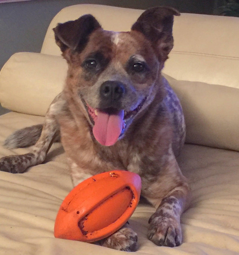 JW Pet iSqueak Funble Football: 7" & 9" - Glad Dogs Nation | ALL Profits Donated