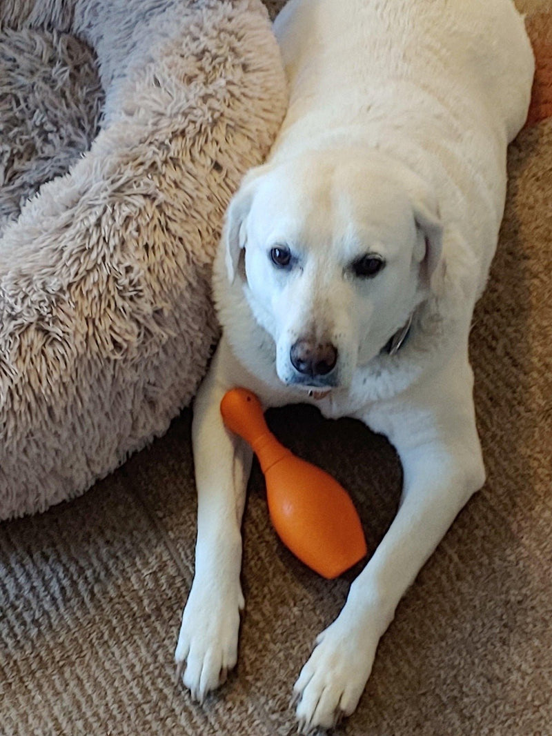 JW SQUEAKY Bouncin' Bowlin' Pin: 5", 7" & 9" - Glad Dogs Nation | ALL Profits Donated