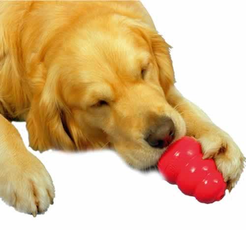 Kong Classic Dog Toy: 5 Sizes / CHEAPER THAN CHEWY! - Glad Dogs Nation | ALL Profits Donated