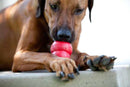 Kong Classic Dog Toy: 5 Sizes / CHEAPER THAN CHEWY! - Glad Dogs Nation | ALL Profits Donated