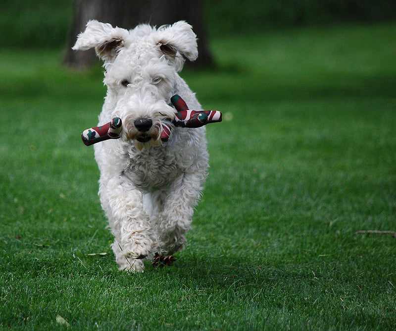 Kong Pet Stix Dog Toss & Chew Toy: 2 Sizes, Choose Color - Glad Dogs Nation | ALL Profits Donated