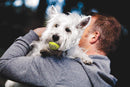 KONG SqueakAir Tennis Balls: All Sizes - Glad Dogs Nation | ALL Profits Donated
