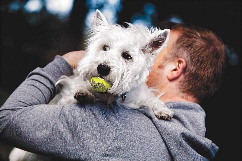 KONG SqueakAir Tennis Balls: All Sizes - Glad Dogs Nation | ALL Profits Donated