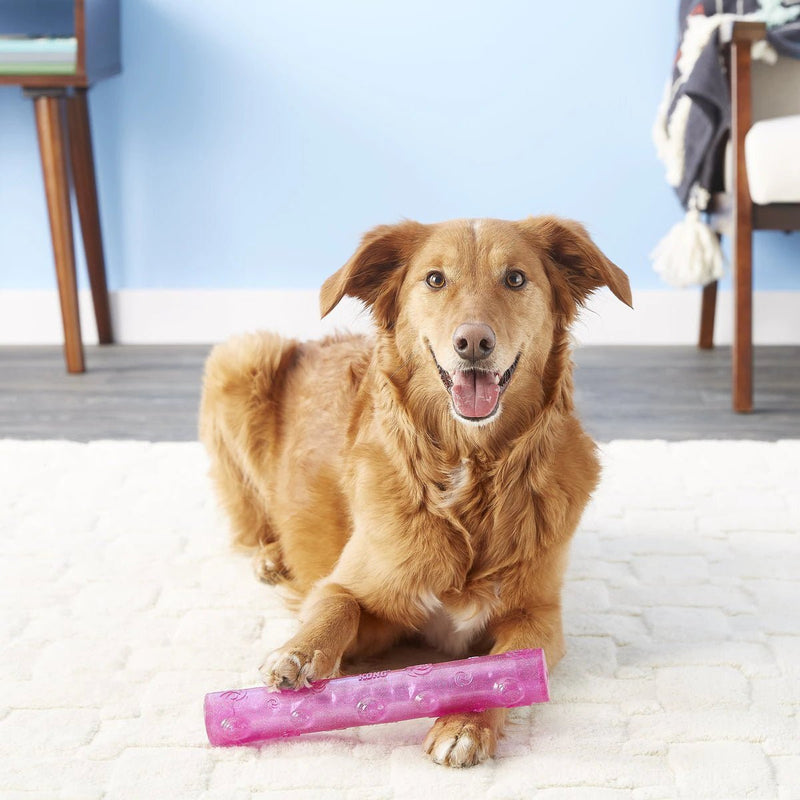 Kong Squeezz Crackle Stick for Quiet Chewing & Fun Fetching CHEAPER THAN CHEWY! - Glad Dogs Nation | ALL Profits Donated