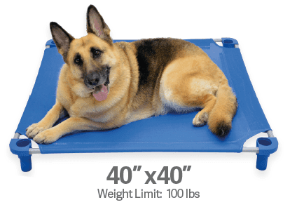 Legs4Pets Elevated Dog Bed: 40"x40" - Glad Dogs Nation | ALL Profits Donated