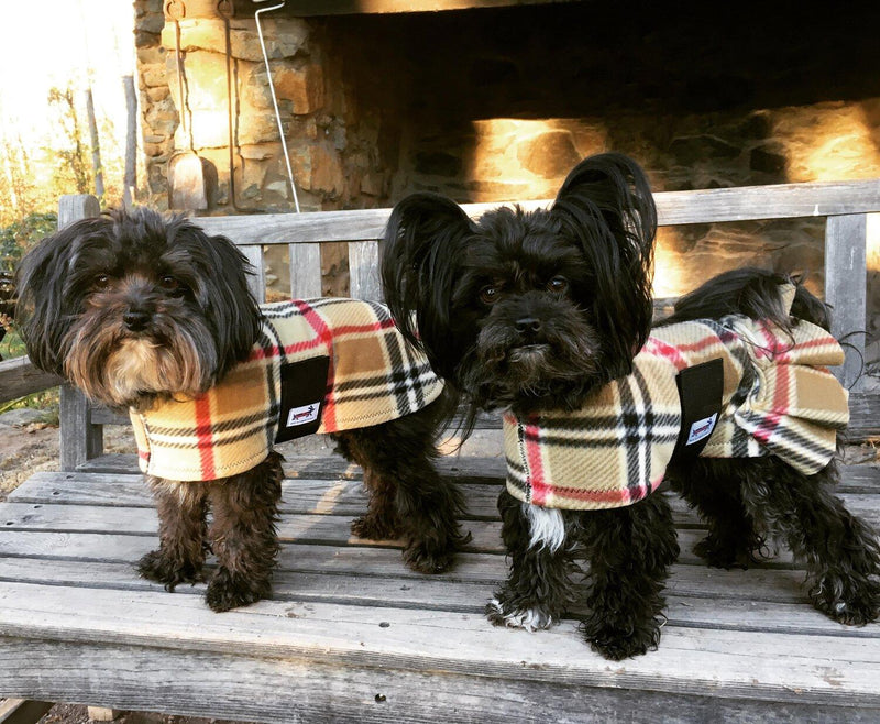 SnugPups Double Lined Poly Fleece Coats with Ruffles - Glad Dogs Nation | ALL profits donated