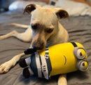 Minions & Friends: All Sizes - Glad Dogs Nation | ALL Profits Donated