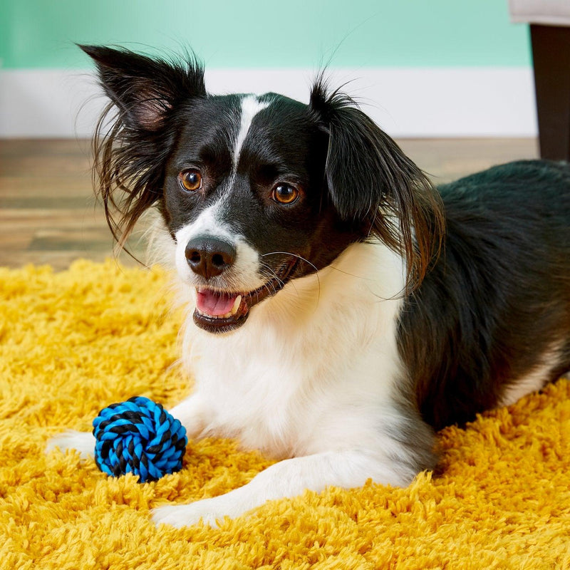 Multipet Nuts for Knots Ball Dog Toy: 3 Sizes - Glad Dogs Nation | ALL Profits Donated