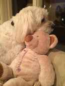 Medium NO SQUEAK Stuffed Dog & Puppy Toys / 20-50 lb. Dogs