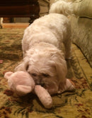 Medium Stuffed SQUEAKY Dog & Puppy Toys / 20-50 lb. Dogs