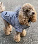 JUST $5! Bailey & Bella Grey Parka with Faux Fur trim: Small