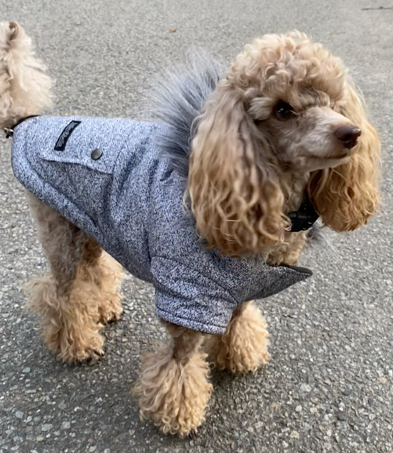 JUST 5 Bailey Bella Grey Parka with Faux Fur trim Small