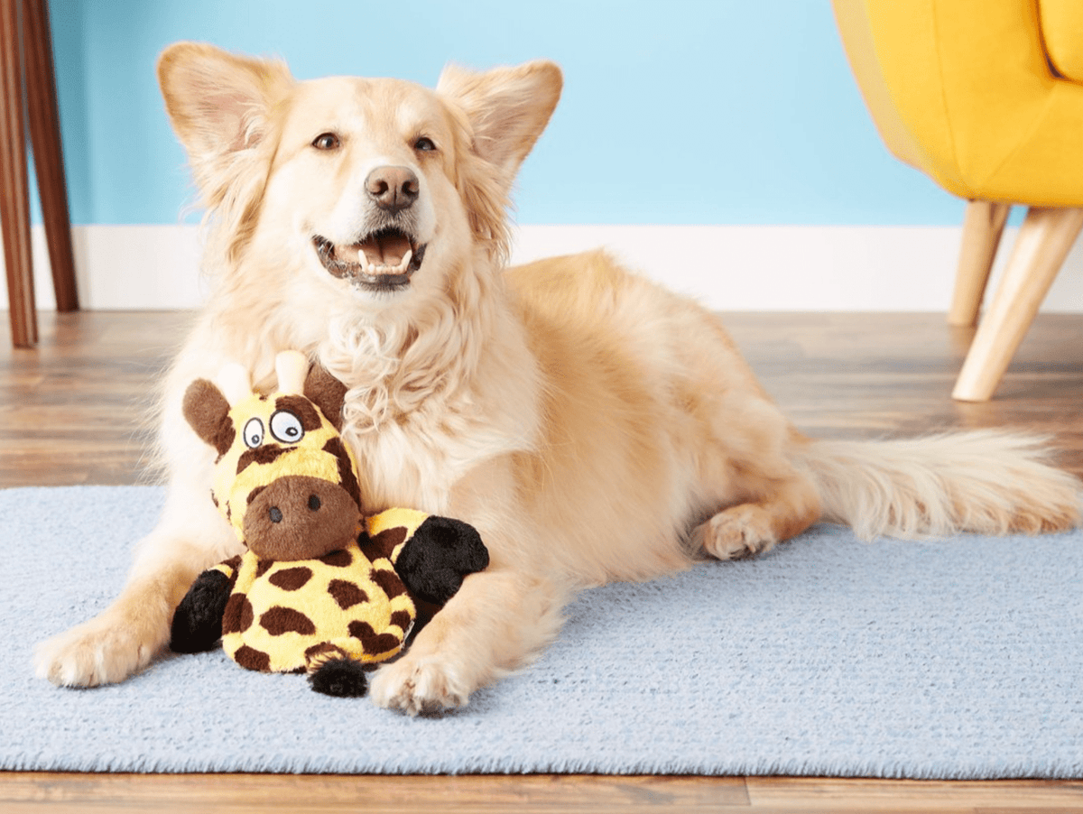 SAVE $2! HEAR DOGGY Silent Squeaker Chew Guard GIRAFFE Dog Toy