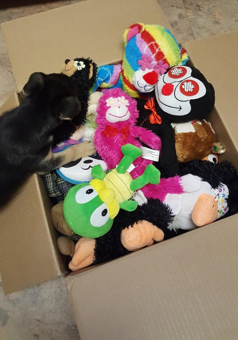 Sewing/Stitch Kits for DOGS: 3 Sizes - Glad Dogs Nation | ALL Profits Donated