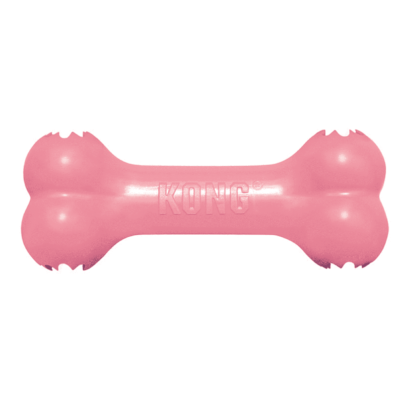 ALL FOR PAWS Dog Chew Toy,Dumbell Puppy Teething Chew Toys,Interactive –  All for Paws Pet